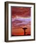 Baobab Silhouette at Sunset, Morondava, Madagascar-Pete Oxford-Framed Premium Photographic Print