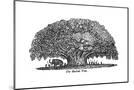 Wood Mount