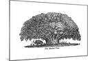 Wood Mount