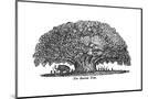 Wood Mount