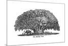 Wood Mount