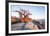 Baobab Tree at Dawn, Kubu Island, Botswana-Paul Souders-Framed Photographic Print