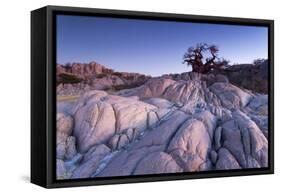 Baobab Tree at Dusk, Kubu Island, Botswana-Paul Souders-Framed Stretched Canvas