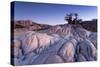 Baobab Tree at Dusk, Kubu Island, Botswana-Paul Souders-Stretched Canvas