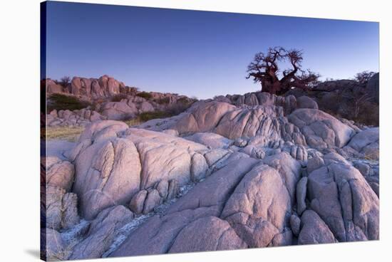 Baobab Tree at Dusk, Kubu Island, Botswana-Paul Souders-Stretched Canvas