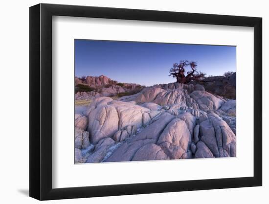 Baobab Tree at Dusk, Kubu Island, Botswana-Paul Souders-Framed Premium Photographic Print