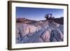 Baobab Tree at Dusk, Kubu Island, Botswana-Paul Souders-Framed Photographic Print