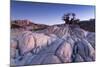 Baobab Tree at Dusk, Kubu Island, Botswana-Paul Souders-Mounted Photographic Print