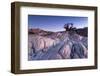 Baobab Tree at Dusk, Kubu Island, Botswana-Paul Souders-Framed Photographic Print