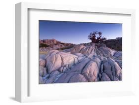 Baobab Tree at Dusk, Kubu Island, Botswana-Paul Souders-Framed Photographic Print