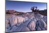 Baobab Tree at Dusk, Kubu Island, Botswana-Paul Souders-Mounted Photographic Print