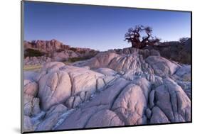 Baobab Tree at Dusk, Kubu Island, Botswana-Paul Souders-Mounted Photographic Print