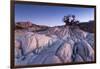 Baobab Tree at Dusk, Kubu Island, Botswana-Paul Souders-Framed Photographic Print