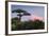 Baobab Tree during Sunset. Madagascar-Dudarev Mikhail-Framed Photographic Print