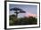 Baobab Tree during Sunset. Madagascar-Dudarev Mikhail-Framed Photographic Print