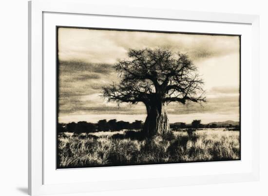 Baobab Tree in Ruaha National Park, Southern Tanzania-Paul Joynson Hicks-Framed Photographic Print