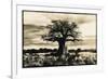 Baobab Tree in Ruaha National Park, Southern Tanzania-Paul Joynson Hicks-Framed Photographic Print