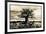 Baobab Tree in Ruaha National Park, Southern Tanzania-Paul Joynson Hicks-Framed Photographic Print