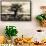 Baobab Tree in Ruaha National Park, Southern Tanzania-Paul Joynson Hicks-Framed Stretched Canvas displayed on a wall