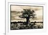 Baobab Tree in Ruaha National Park, Southern Tanzania-Paul Joynson Hicks-Framed Photographic Print