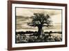 Baobab Tree in Ruaha National Park, Southern Tanzania-Paul Joynson Hicks-Framed Photographic Print