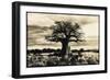 Baobab Tree in Ruaha National Park, Southern Tanzania-Paul Joynson Hicks-Framed Photographic Print