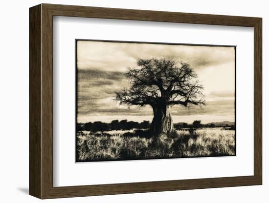 Baobab Tree in Ruaha National Park, Southern Tanzania-Paul Joynson Hicks-Framed Photographic Print