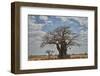 Baobab tree, Ruaha National Park, Tanzania, East Africa, Africa-James Hager-Framed Photographic Print