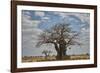 Baobab tree, Ruaha National Park, Tanzania, East Africa, Africa-James Hager-Framed Photographic Print