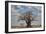 Baobab tree, Ruaha National Park, Tanzania, East Africa, Africa-James Hager-Framed Photographic Print