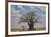 Baobab tree, Ruaha National Park, Tanzania, East Africa, Africa-James Hager-Framed Photographic Print