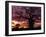 Baobab Tree Silhouetted by Spectacular Sunrise, Kenya, East Africa, Africa-Stanley Storm-Framed Premium Photographic Print