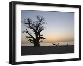 Baobab Tree, Sine Saloum Delta, Senegal, West Africa, Africa-Robert Harding-Framed Premium Photographic Print