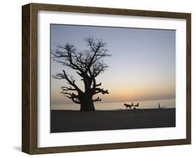 Baobab Tree, Sine Saloum Delta, Senegal, West Africa, Africa-Robert Harding-Framed Photographic Print