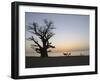 Baobab Tree, Sine Saloum Delta, Senegal, West Africa, Africa-Robert Harding-Framed Photographic Print