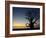 Baobab Tree, Sine Saloum Delta, Senegal, West Africa, Africa-Robert Harding-Framed Photographic Print