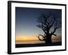 Baobab Tree, Sine Saloum Delta, Senegal, West Africa, Africa-Robert Harding-Framed Photographic Print