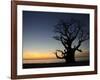 Baobab Tree, Sine Saloum Delta, Senegal, West Africa, Africa-Robert Harding-Framed Photographic Print