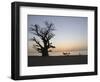 Baobab Tree, Sine Saloum Delta, Senegal, West Africa, Africa-Robert Harding-Framed Photographic Print