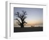 Baobab Tree, Sine Saloum Delta, Senegal, West Africa, Africa-Robert Harding-Framed Photographic Print