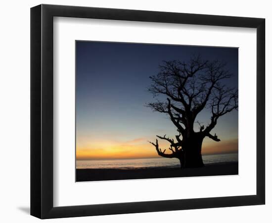 Baobab Tree, Sine Saloum Delta, Senegal, West Africa, Africa-Robert Harding-Framed Photographic Print