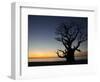 Baobab Tree, Sine Saloum Delta, Senegal, West Africa, Africa-Robert Harding-Framed Photographic Print