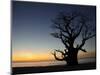 Baobab Tree, Sine Saloum Delta, Senegal, West Africa, Africa-Robert Harding-Mounted Photographic Print