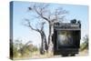 Baobab Tree Viewed Through Speed Graphic, Nxai Pan National Park, Botswana-Paul Souders-Stretched Canvas