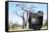 Baobab Tree Viewed Through Speed Graphic, Nxai Pan National Park, Botswana-Paul Souders-Framed Stretched Canvas