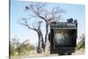 Baobab Tree Viewed Through Speed Graphic, Nxai Pan National Park, Botswana-Paul Souders-Stretched Canvas