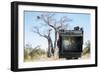 Baobab Tree Viewed Through Speed Graphic, Nxai Pan National Park, Botswana-Paul Souders-Framed Photographic Print