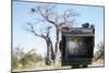 Baobab Tree Viewed Through Speed Graphic, Nxai Pan National Park, Botswana-Paul Souders-Mounted Photographic Print