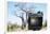 Baobab Tree Viewed Through Speed Graphic, Nxai Pan National Park, Botswana-Paul Souders-Framed Photographic Print