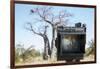 Baobab Tree Viewed Through Speed Graphic, Nxai Pan National Park, Botswana-Paul Souders-Framed Photographic Print